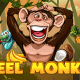 Играть на игровом автомате 1 Reel Monkey от Spinomenal с выводом денег